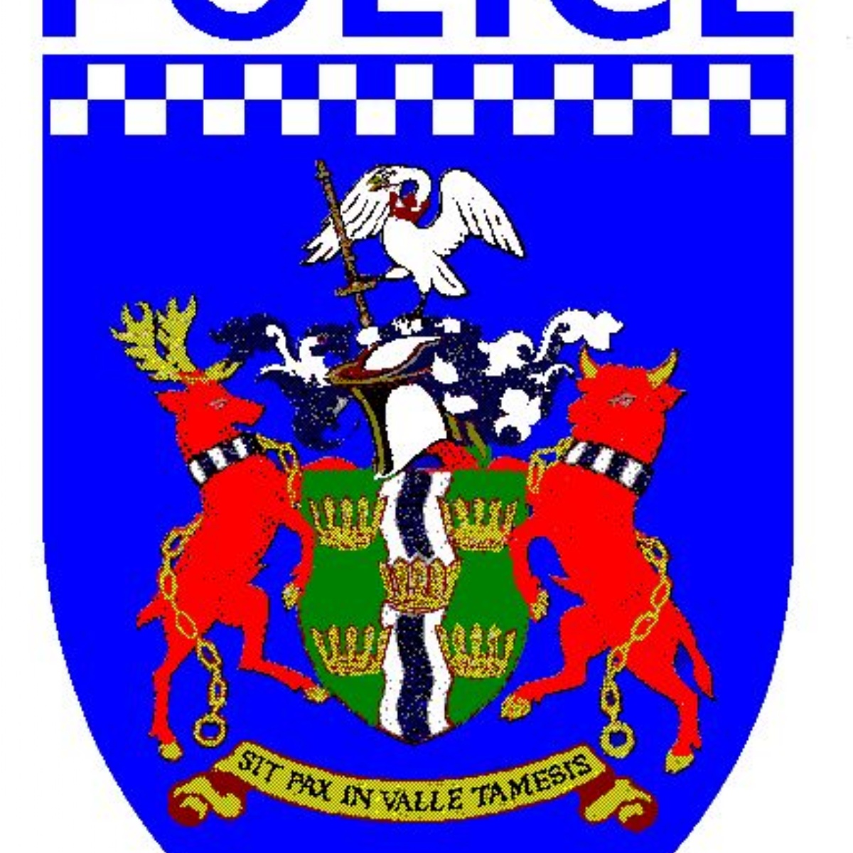 The Piggott School A Message from TVP regarding Online Safety